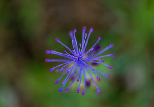 Photowalks